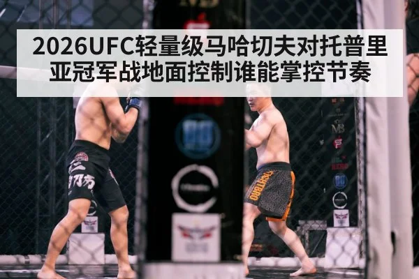 MMA fighters cage octagon